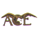 logo_ace_1.gif (1683 bytes)